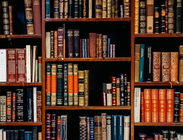 University library interior