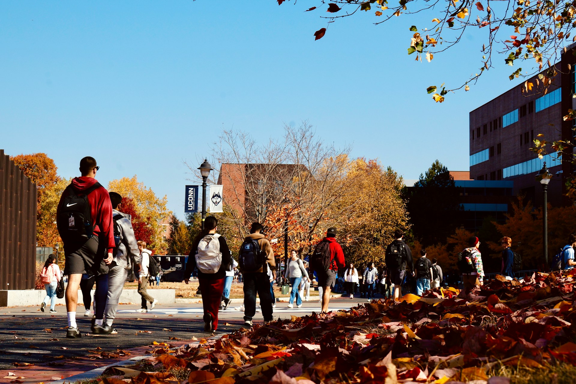 Students walking on campus - college comparison